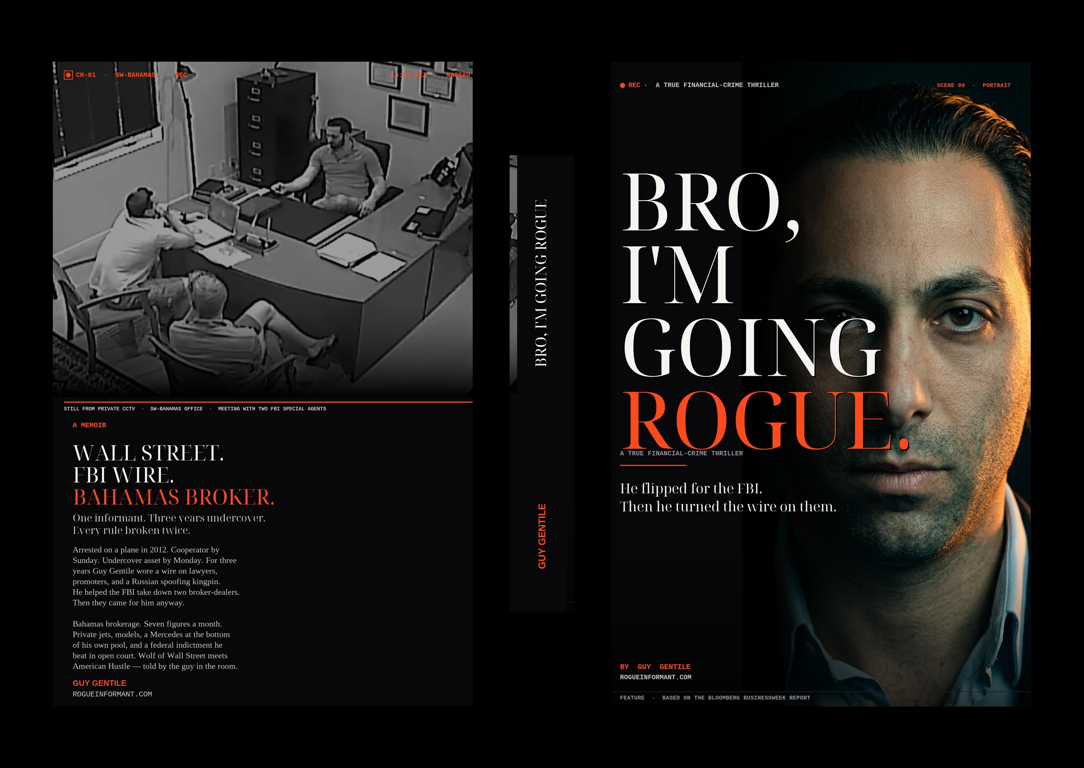 Bro, I'm Going Rogue by Guy Gentile — front cover